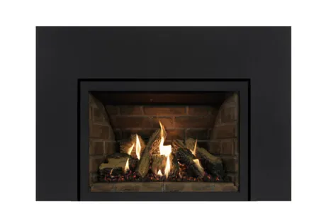 Gas Fireplace Inserts Archgard 27-DVIE22N