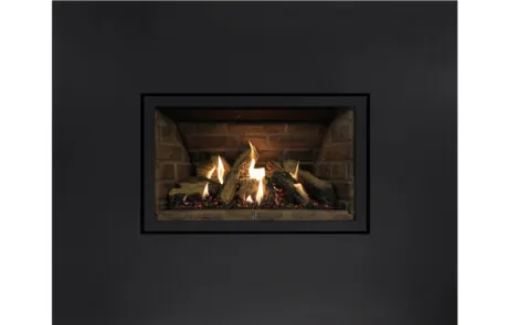 Gas Fireplace Inserts Archgard 27-DVIE22N