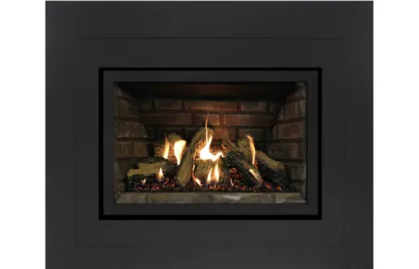 Gas Fireplace Inserts Archgard 27-DVIE22N