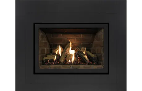 Gas Fireplace Inserts Archgard 27-DVIE22N