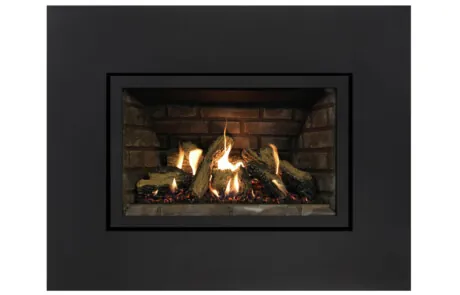 Gas Fireplace Inserts Archgard 27-DVIE22N