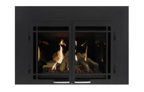 Gas Fireplace Inserts Archgard 27-DVIE22N