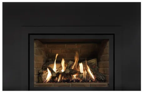 Foyer au gaz inserts Archgard 31-DVIE33LN-3