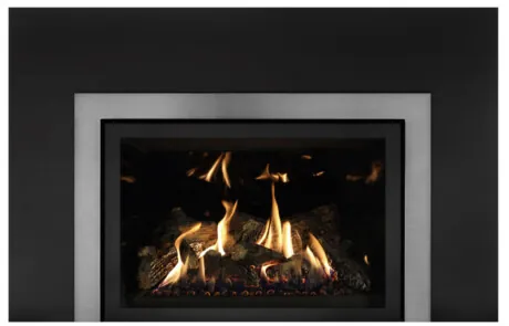 Foyer au gaz inserts Archgard 31-DVIE33LN-3