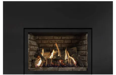 Foyer au gaz inserts Archgard 31-DVIE33LN-3