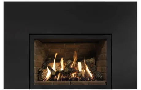 Foyer au gaz inserts Archgard 31-DVIE33LN-3