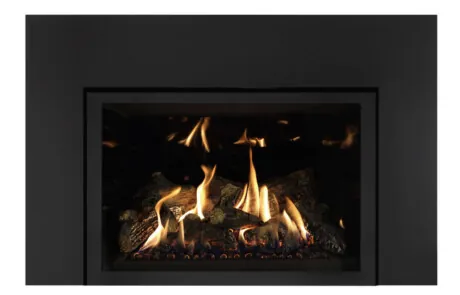 Foyer au gaz inserts Archgard 31-DVIE33LN-3