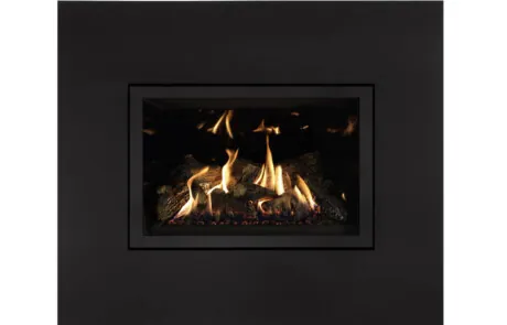 Foyer au gaz inserts Archgard 31-DVIE33LN-3