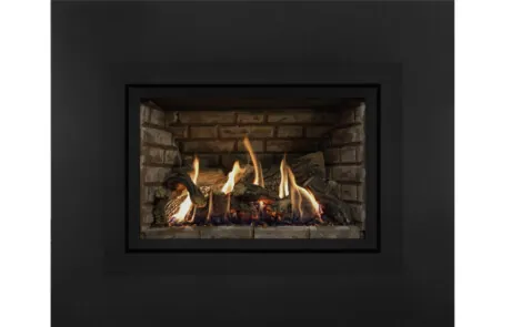 Foyer au gaz inserts Archgard 31-DVIE33LN-3