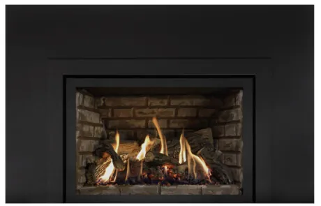 Foyer au gaz inserts Archgard 31-DVIE33LN-3