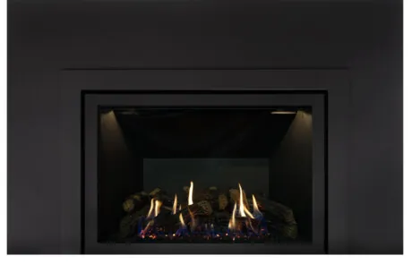 Foyer au gaz inserts Archgard 36-DVIE33LN-3