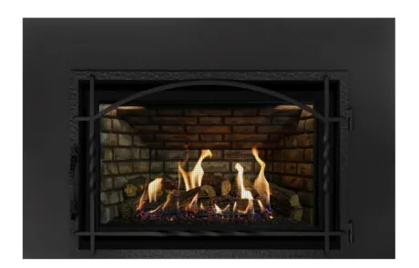 Foyer au gaz inserts Archgard 36-DVIE33LN-3