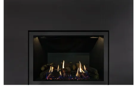 Foyer au gaz inserts Archgard 36-DVIE33LN-3