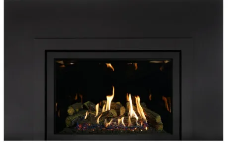 Foyer au gaz inserts Archgard 36-DVIE33LN-3