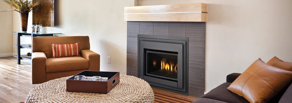 Gas Fireplace Inserts Regency E18E