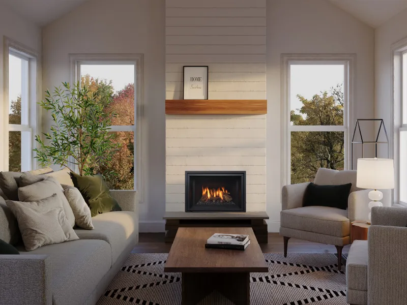 Gas Fireplace Inserts Regency Gi25LE
