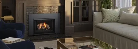 Gas Fireplace Inserts Regency Gi25LE