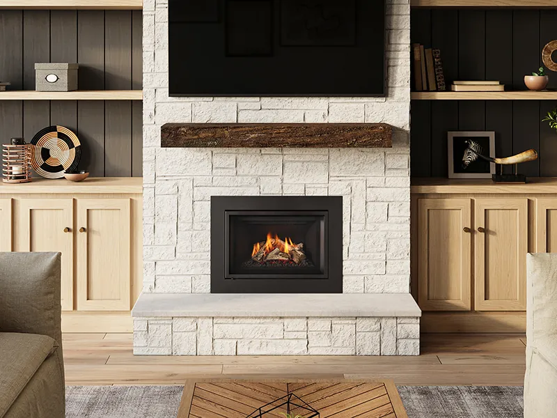 Gas Fireplace Inserts Regency Gi27LE