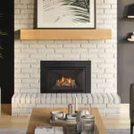 Gas Fireplace Inserts Regency Gi27LE