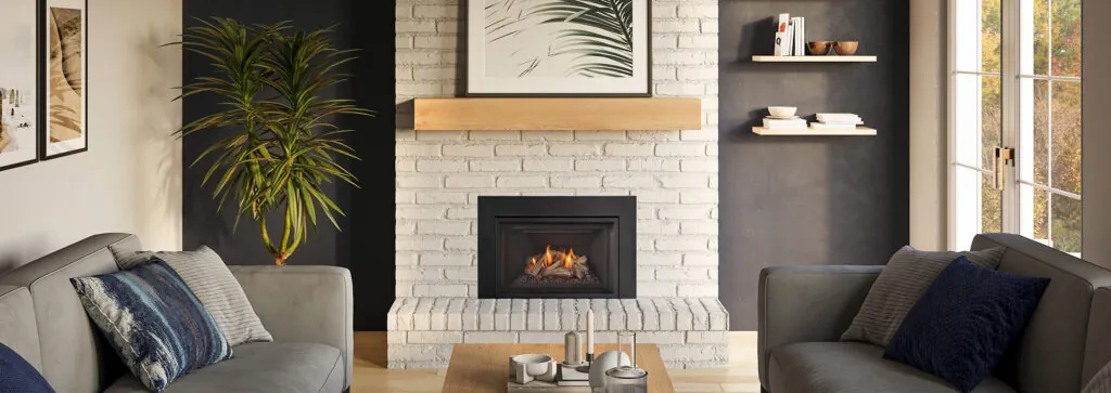 Gas Fireplace Inserts Regency Gi27LE