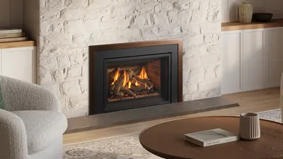 Gas Fireplace Inserts Regency Gi29LE