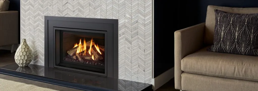 Gas Fireplace Inserts Regency Gi29LE