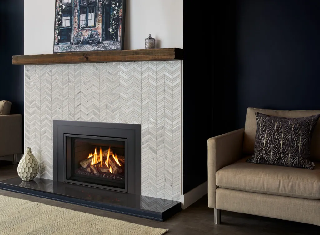 Gas Fireplace Inserts Regency Gi29LE