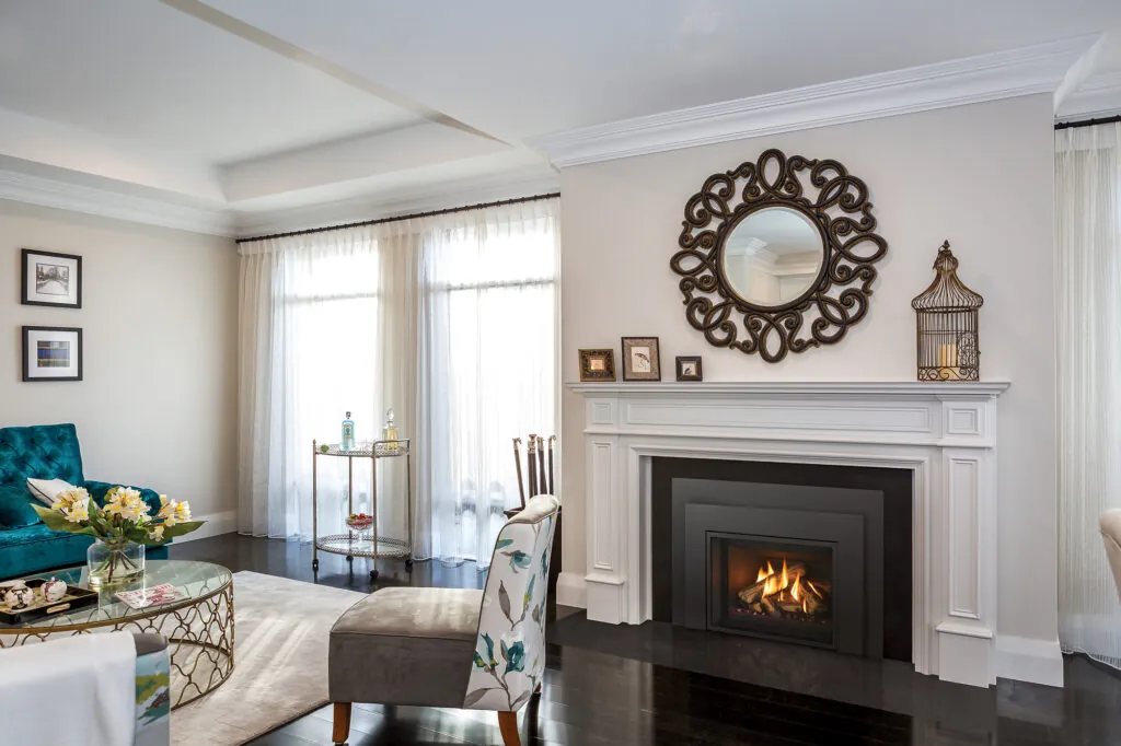 Gas Fireplace Inserts Regency Gi29LE