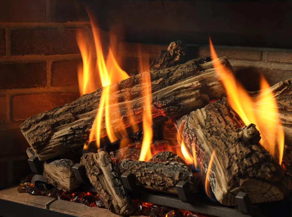 Gas Fireplace Inserts Regency Gi29LE