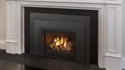 Gas Fireplace Inserts Regency Gi29LE