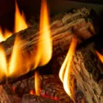 Gas Fireplace Inserts Regency Gi29LE