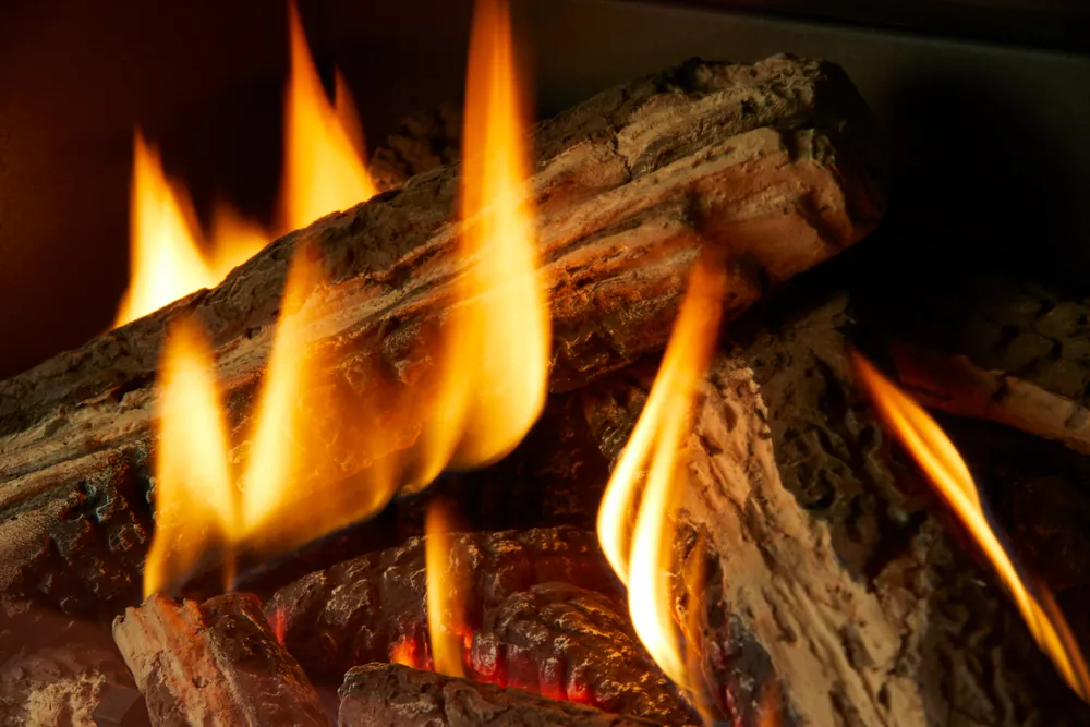 Gas Fireplace Inserts Regency Gi29LE