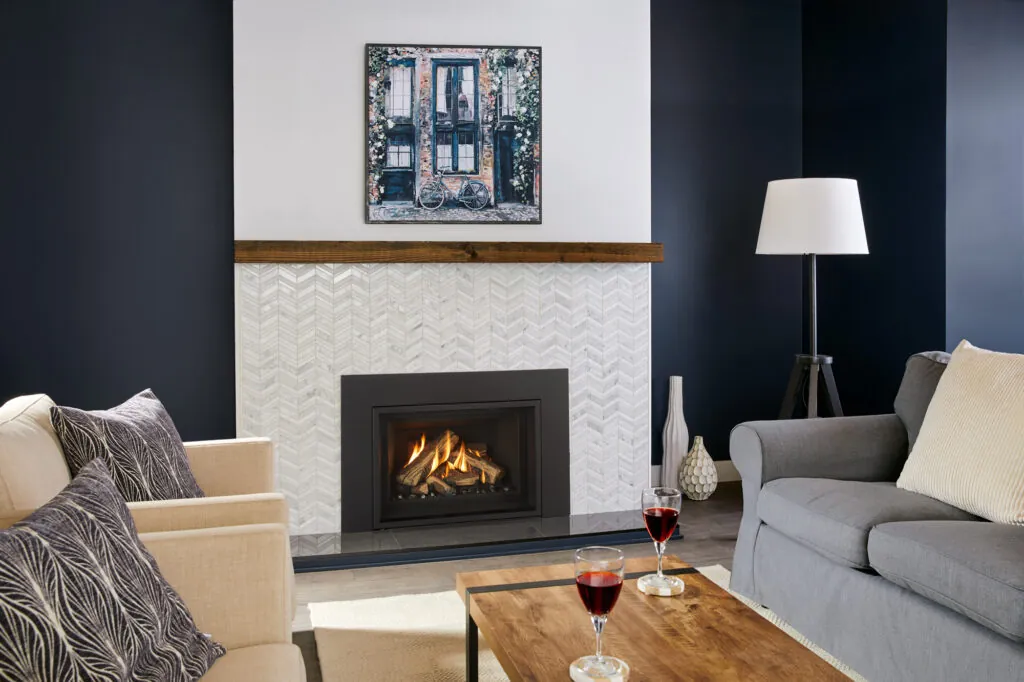 Gas Fireplace Inserts Regency Gi29LE