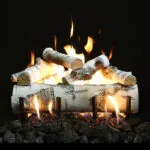 Gas Log Sets Regency GL18V
