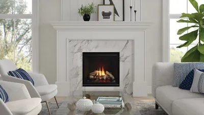 Gas Fireplace Regency G600