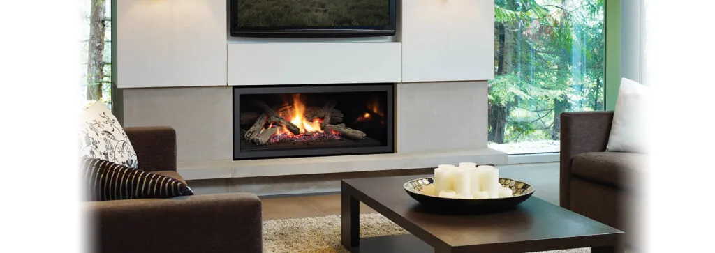 Gas Fireplace Regency U900E