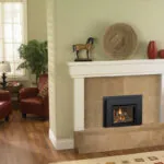 Gas Fireplace Inserts Regency L234