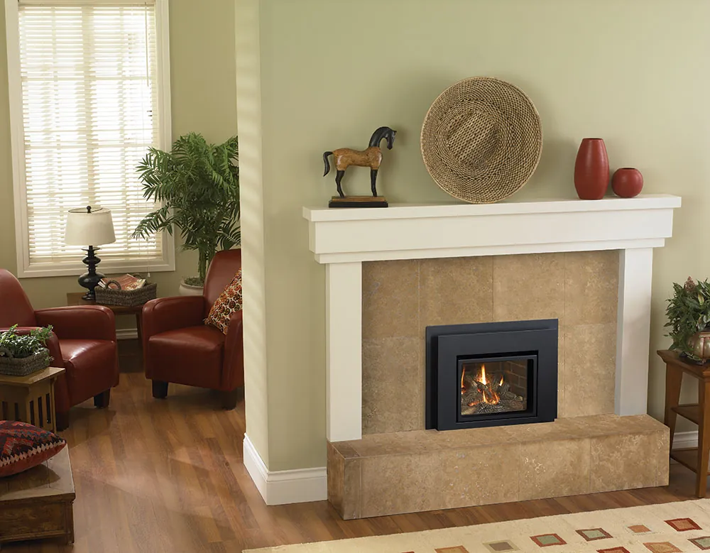 Gas Fireplace Inserts Regency L234