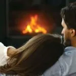 Gas Fireplace Inserts Regency L234