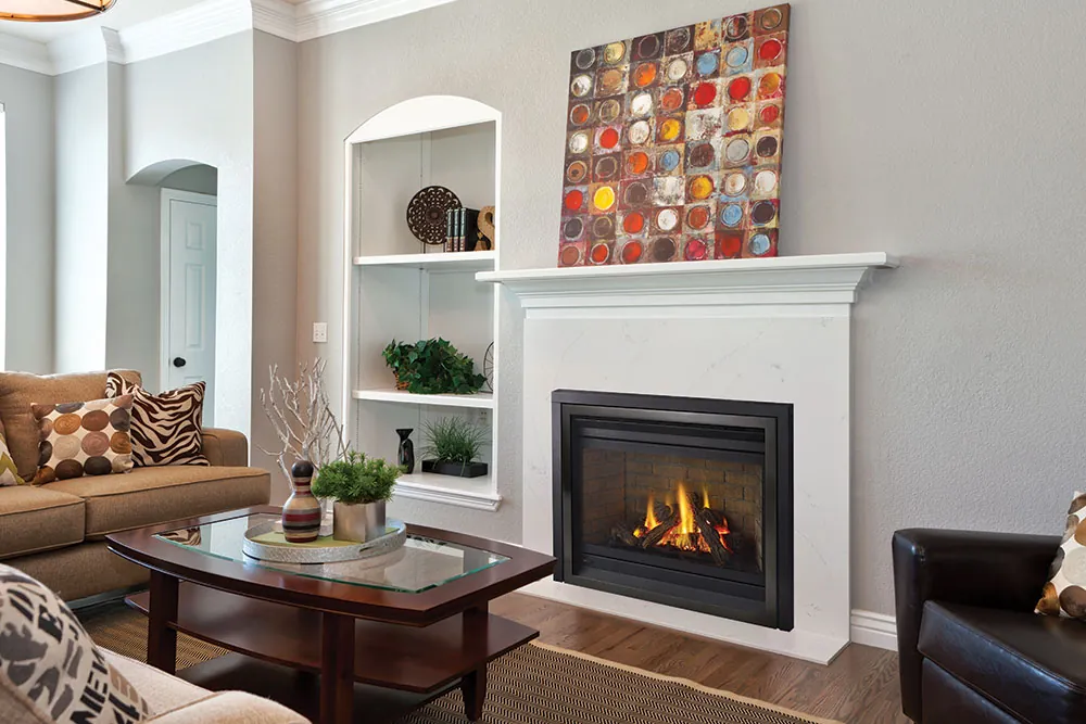 Gas Fireplace Regency P36
